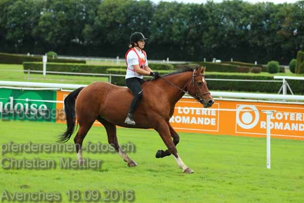 ET0Q0095 prot